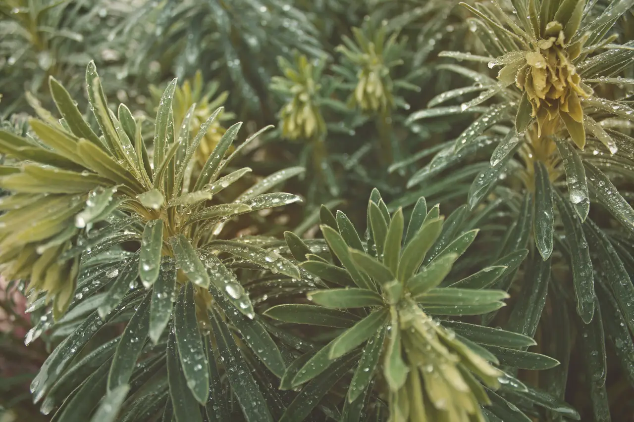 产品广告片拍摄中光影设计的关键技术要点与实操方法